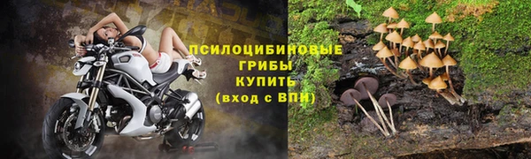 гидра Абдулино