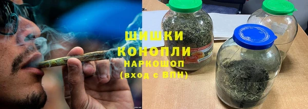 ГАЛЛЮЦИНОГЕННЫЕ ГРИБЫ Алзамай